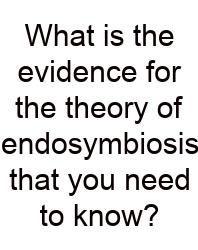 What Is The Evidence For The Theory Of Endosymbiosis That You Need To Know?