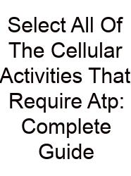 Select All Of The Cellular Activities That Require Atp: Complete Guide