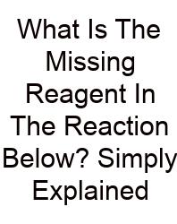 What Is The Missing Reagent In The Reaction Below? Simply Explained