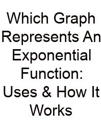 Which Graph Represents An Exponential Function: Uses & How It Works