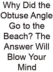 Why Did The Obtuse Angle Go To The Beach? The Answer Will Blow Your Mind
